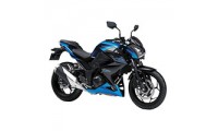 Custom Kawasaki Z250/Z300 Fairings
