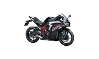Custom Kawasaki ZX25R Fairings