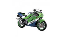 Custom Kawasaki ZXR250 Fairings