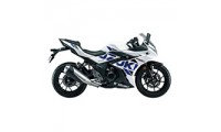 Custom Suzuki GSX250R Fairings