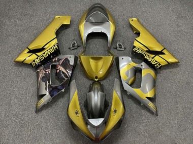 Custom 2005-2006 Kawasaki ZX6R Motorcycle Fairings - Gold Silver