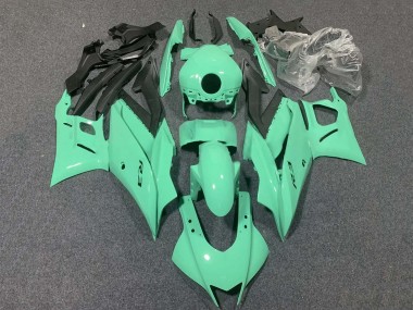 Custom 2015-2018 Yamaha YZF R3/R25 Motorcycle Fairings - Light Green