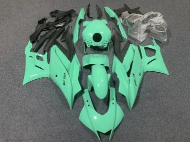 Custom 2019-2021 Yamaha YZF R3/R25 Motorcycle Fairings - Light Green